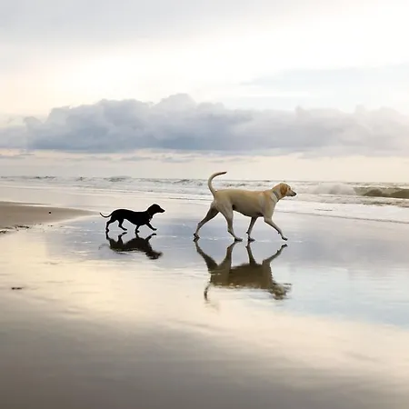 Montys Maison - Part Of The The Bay Filey Holiday Village With Pool, Gym And Direct Beach Access, Pub, Restaurant, Tennis And Meadows Walks